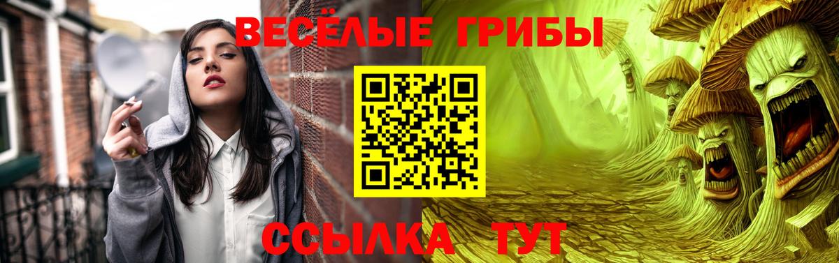 Галлюциногенные грибы мицелий Ревда
