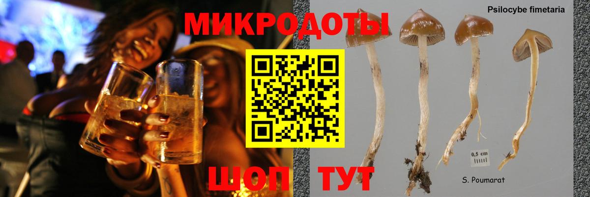 Ревда  Псилоцибиновые грибы мухоморы  дарнет шоп  Вход с VPN 
